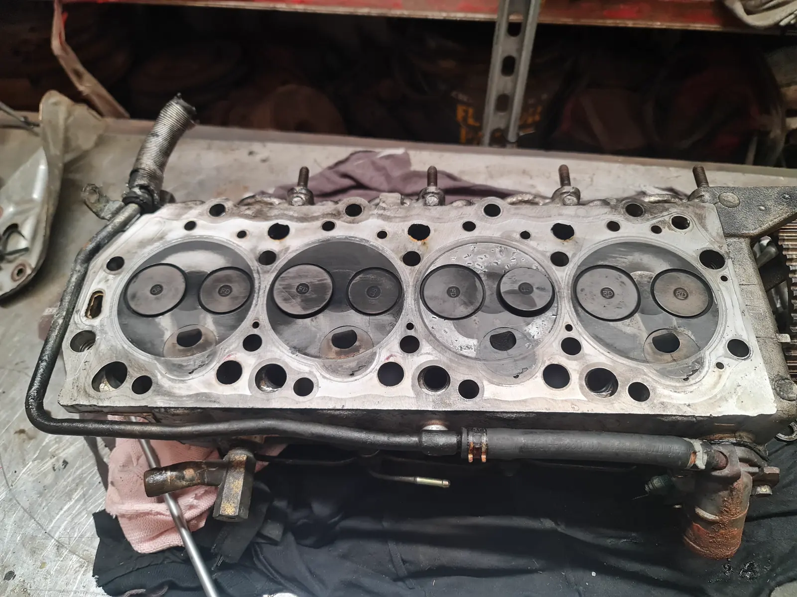 A Mitsubishi 4D56 cylinder head on the bench with the valves exposed