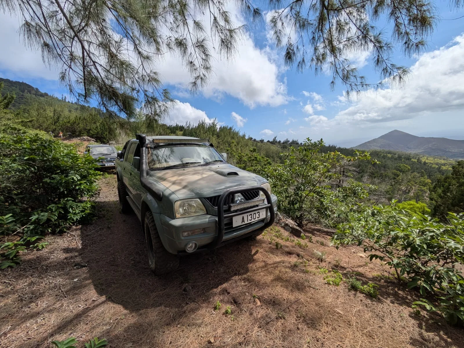 The STC Dakar on a hillside trail under pine trees, a mountain behind it